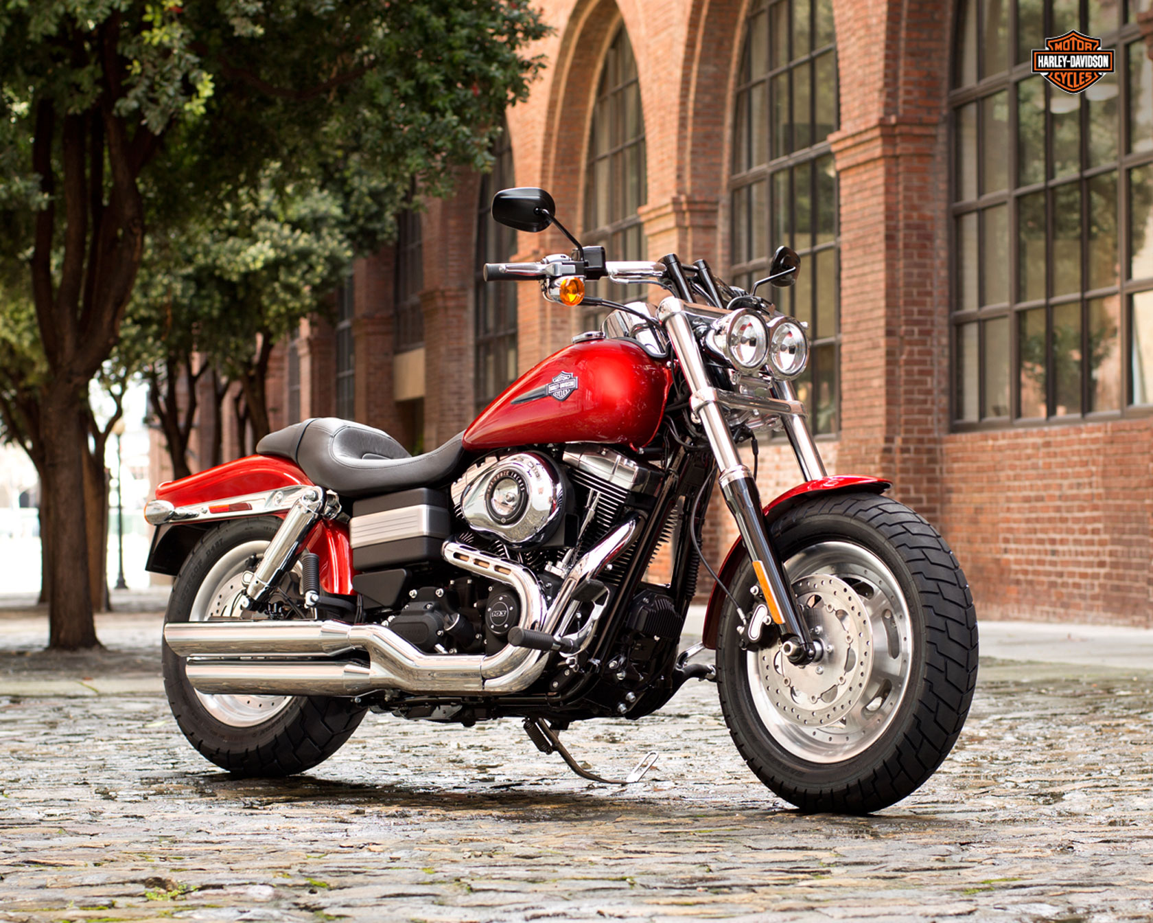 2013 Harley Davidson Fxdf Dyna Fat Bob Review