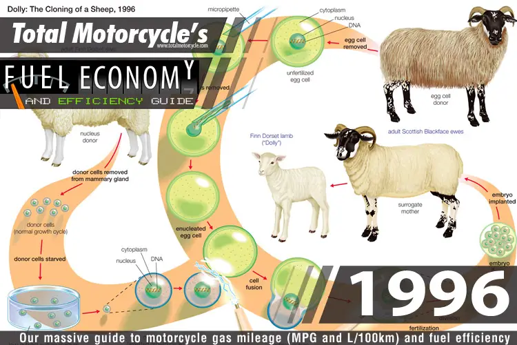 1996 Motorcycle MPG Fuel Economy Guide
