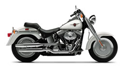 2000 Harley-Davidson FLSTF/FLSTFI Fat Boy