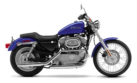 2002 Harley-Davidson XL Sportster 883 Custom