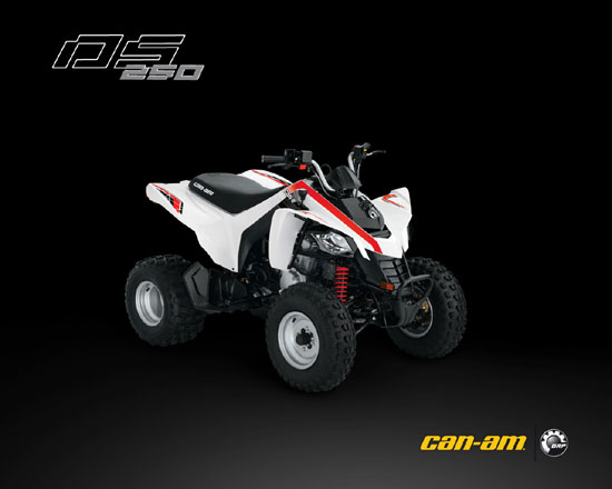 2009 Can-Am DS 250 