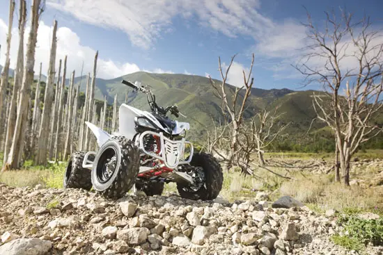 2009 Yamaha Raptor 250 VFM250R 