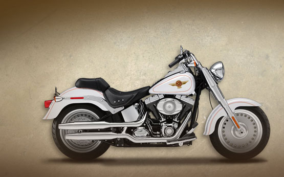 2010 Harley-Davidson Shrine Fat Boy