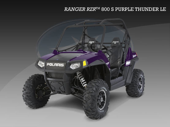 2010 Polaris RZR S Purple Thunder 