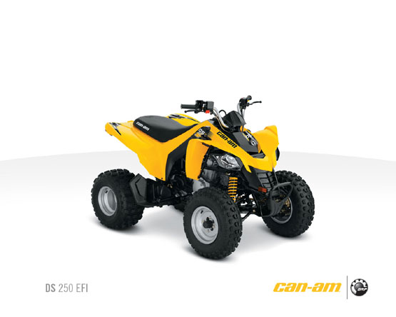 2011 Can-Am DS 250 
