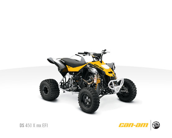 2011 Can-Am DS 450 X MX 