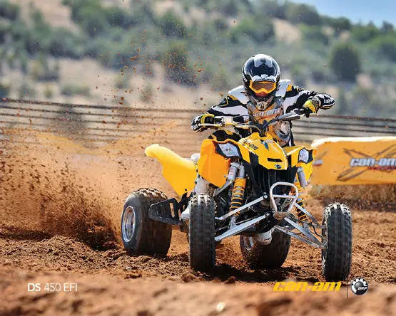 2011 Can-Am DS 450 