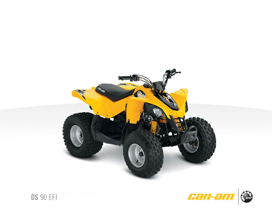 2011 Can-Am DS 90 