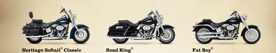 2011 Harley-Davidson Peace Officer Road King 