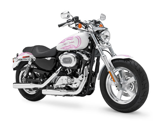 2011 Harley-Davidson XL1200C Custom H-D1 Sportster 