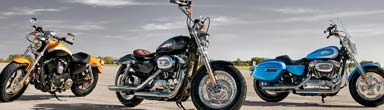 Harley-Davidson XL1200C H-D1 Custom