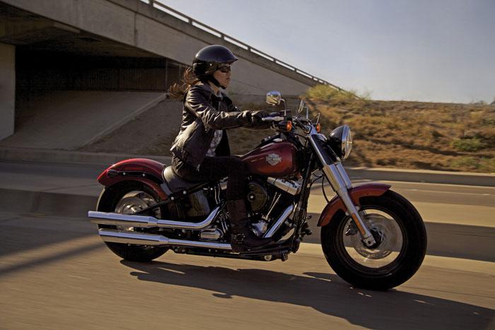 2013 Harley-Davidson FLS Slim