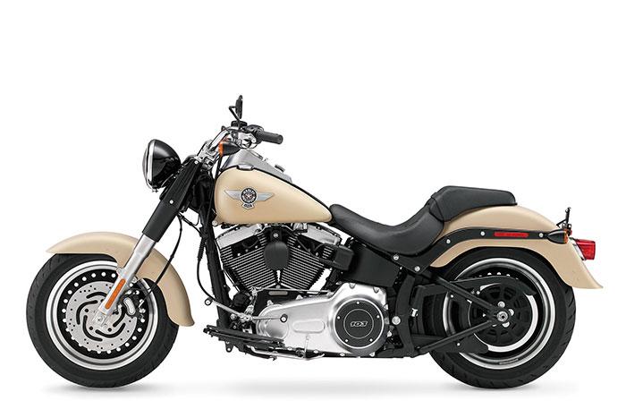 2014 Harley-Davidson FLSTFB Fat Boy Lo