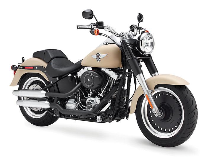 2014 Harley-Davidson FLSTFB Fat Boy Lo