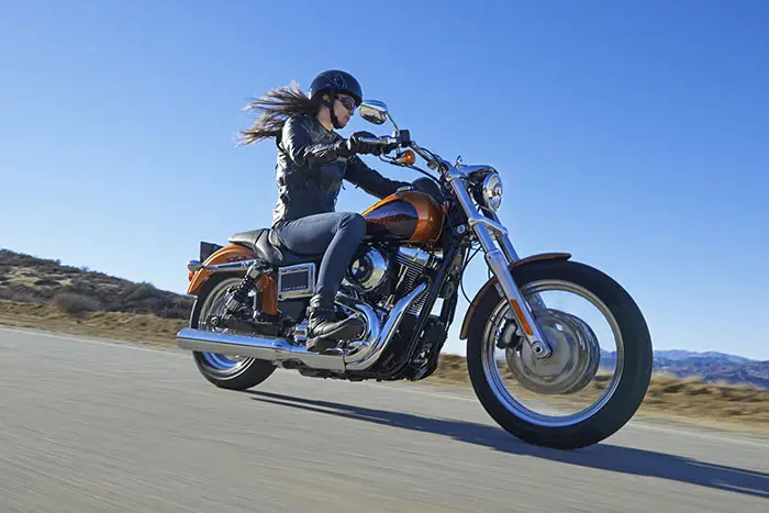 2014 Harley-Davidson FXDL Low Rider 