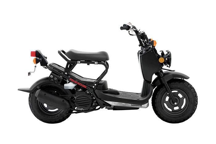2016 Honda Ruckus 