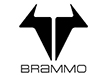 2016 Brammo Motorcycles