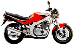 2001 Suzuki GS500E. 