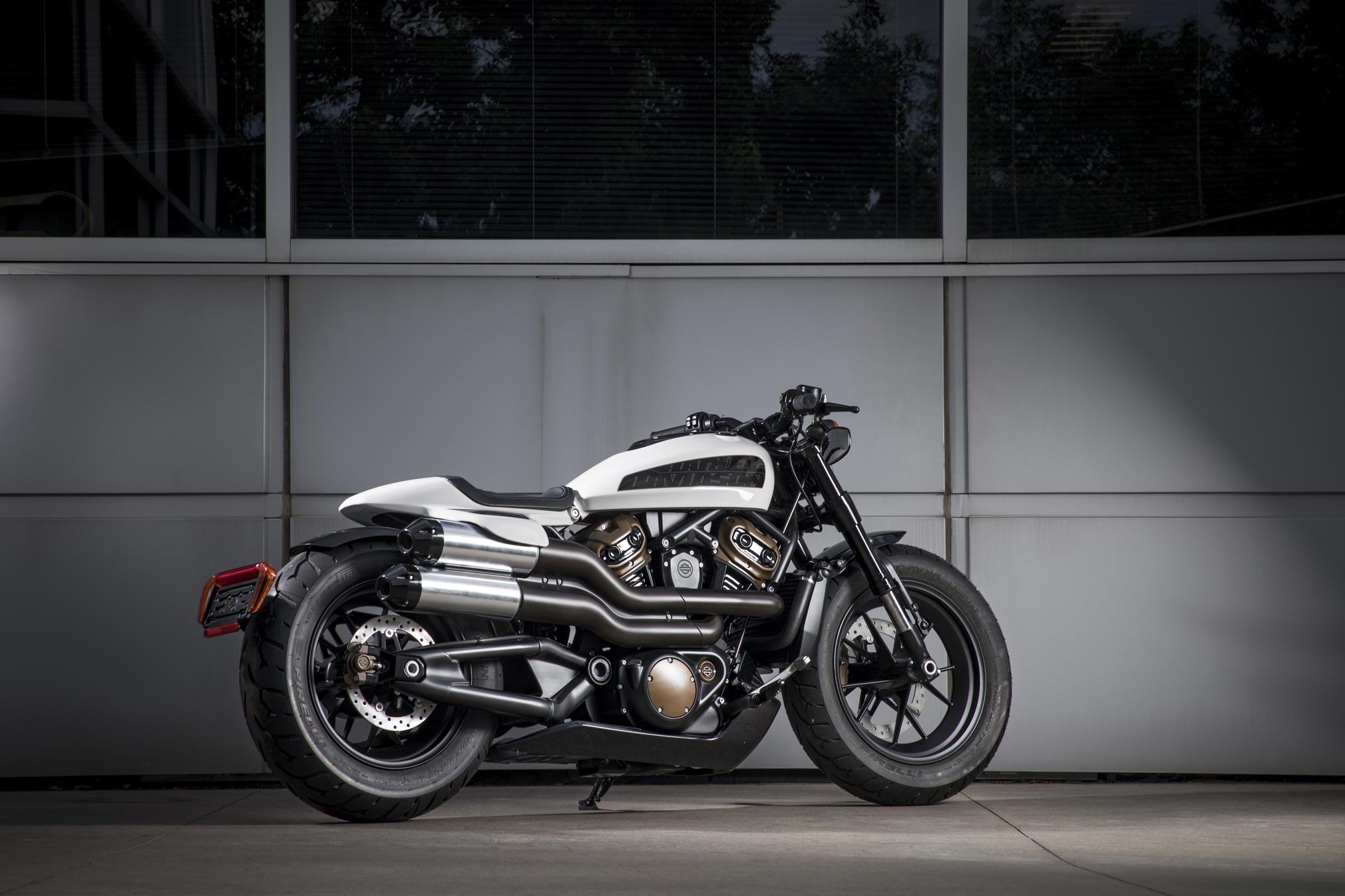 2021 Harley-Davidson Custom Preview 