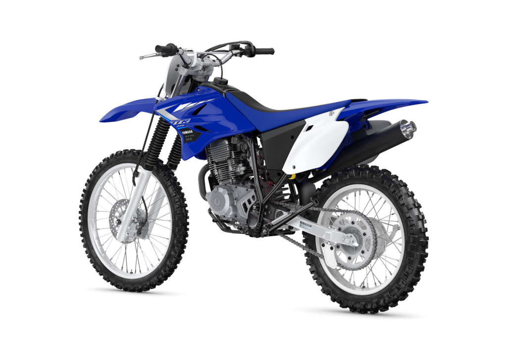 2020 Yamaha TT-R230