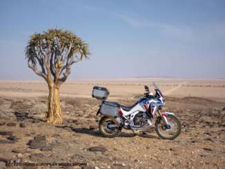 2020 Africa Twin Adventure Sports ES DCT