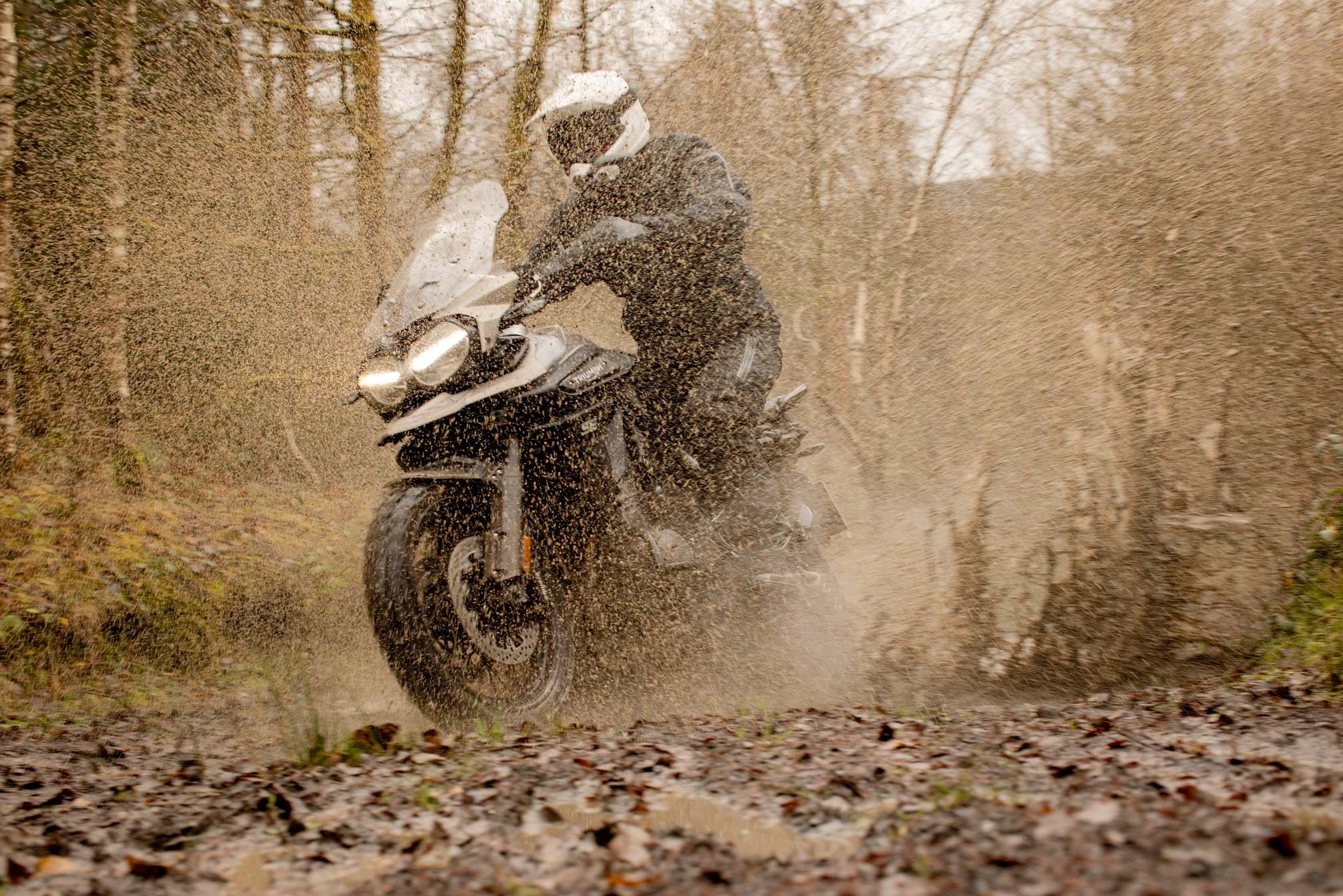 2020 triumph tiger 1200 desert edition sandstorm