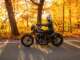 2021 Harley-Davidson Iron 1200