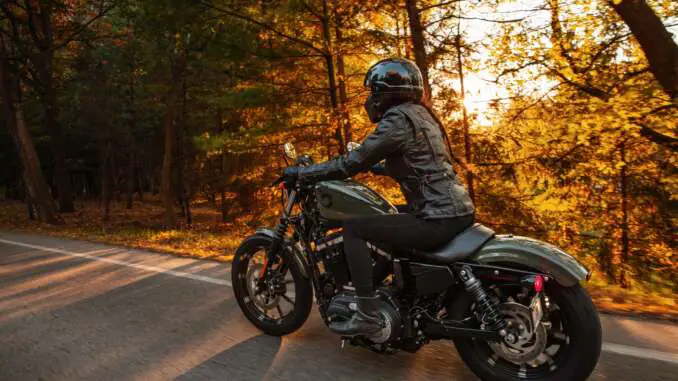 2021 Harley-Davidson Iron 883