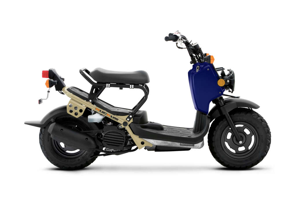 2022 Honda Ruckus