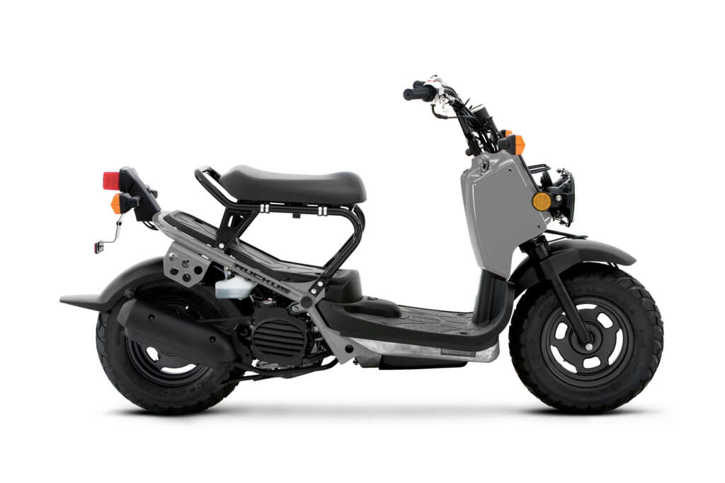 2022 Honda Ruckus