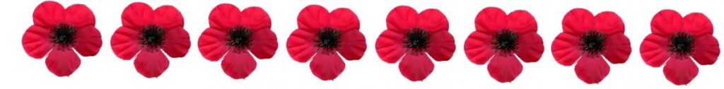 Inspiration Friday: Veterans Day - Remembrance Day - Armistice Day