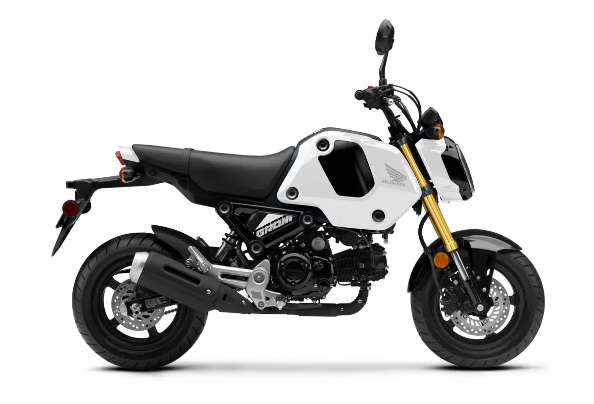 2024 Honda Grom ABS Guide • Total Motorcycle