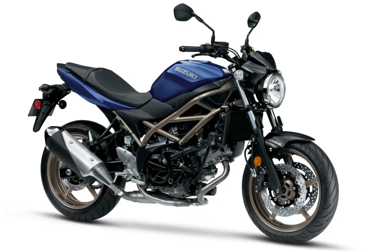 2024 Suzuki SV650 Guide • Total Motorcycle