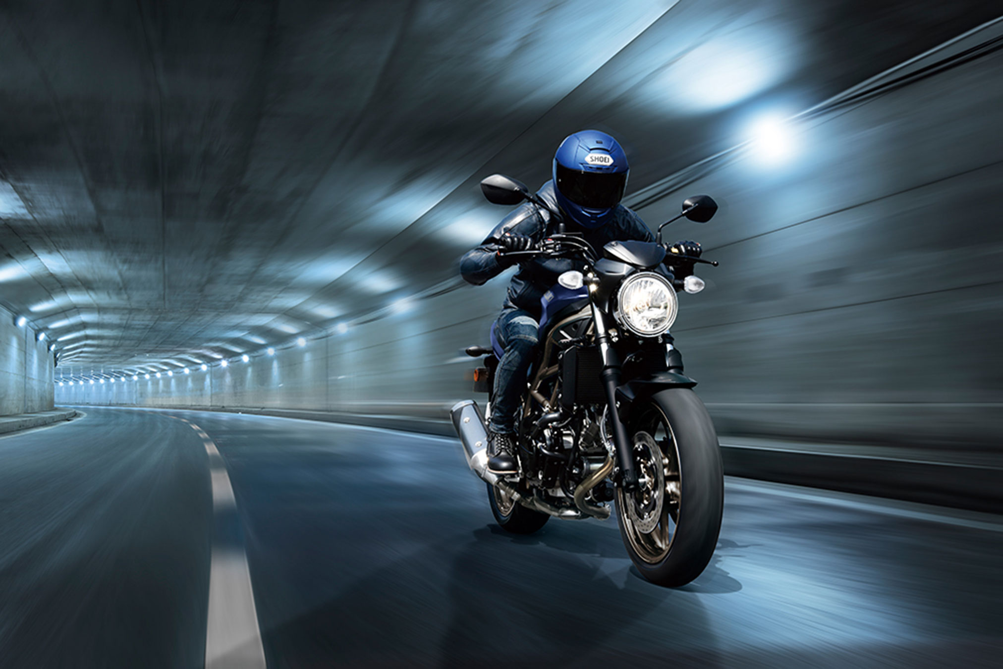 2024 Suzuki SV650 ABS Guide • Total Motorcycle