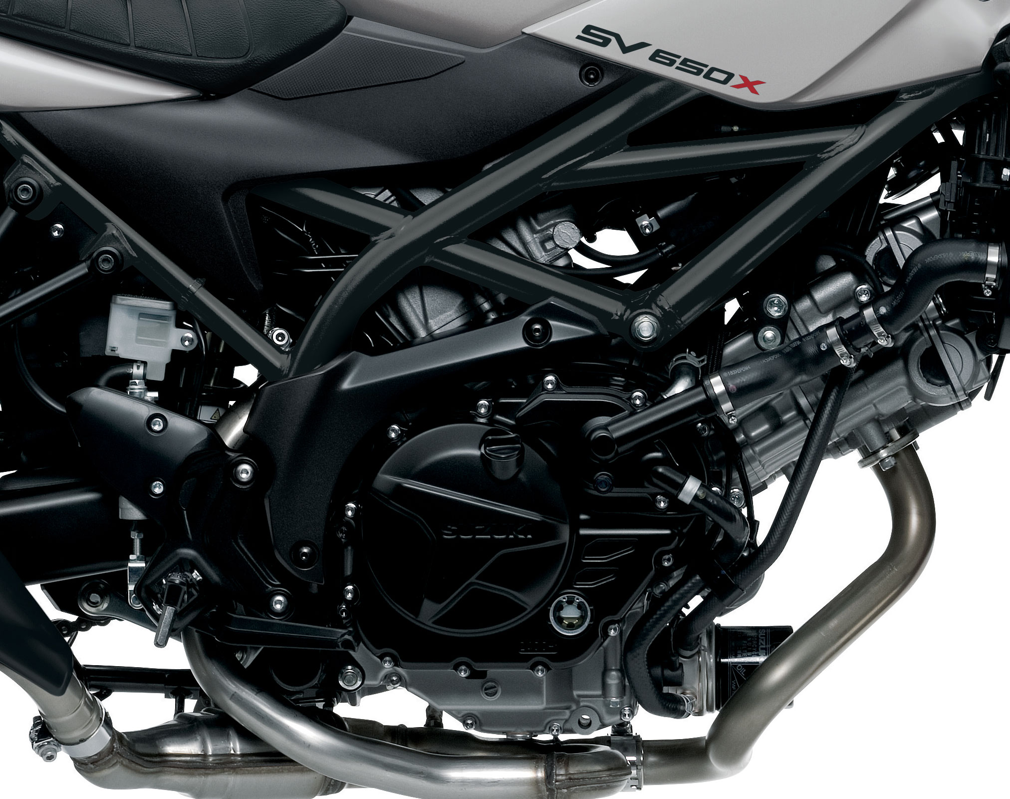 2024 Suzuki SV650X Guide • Total Motorcycle