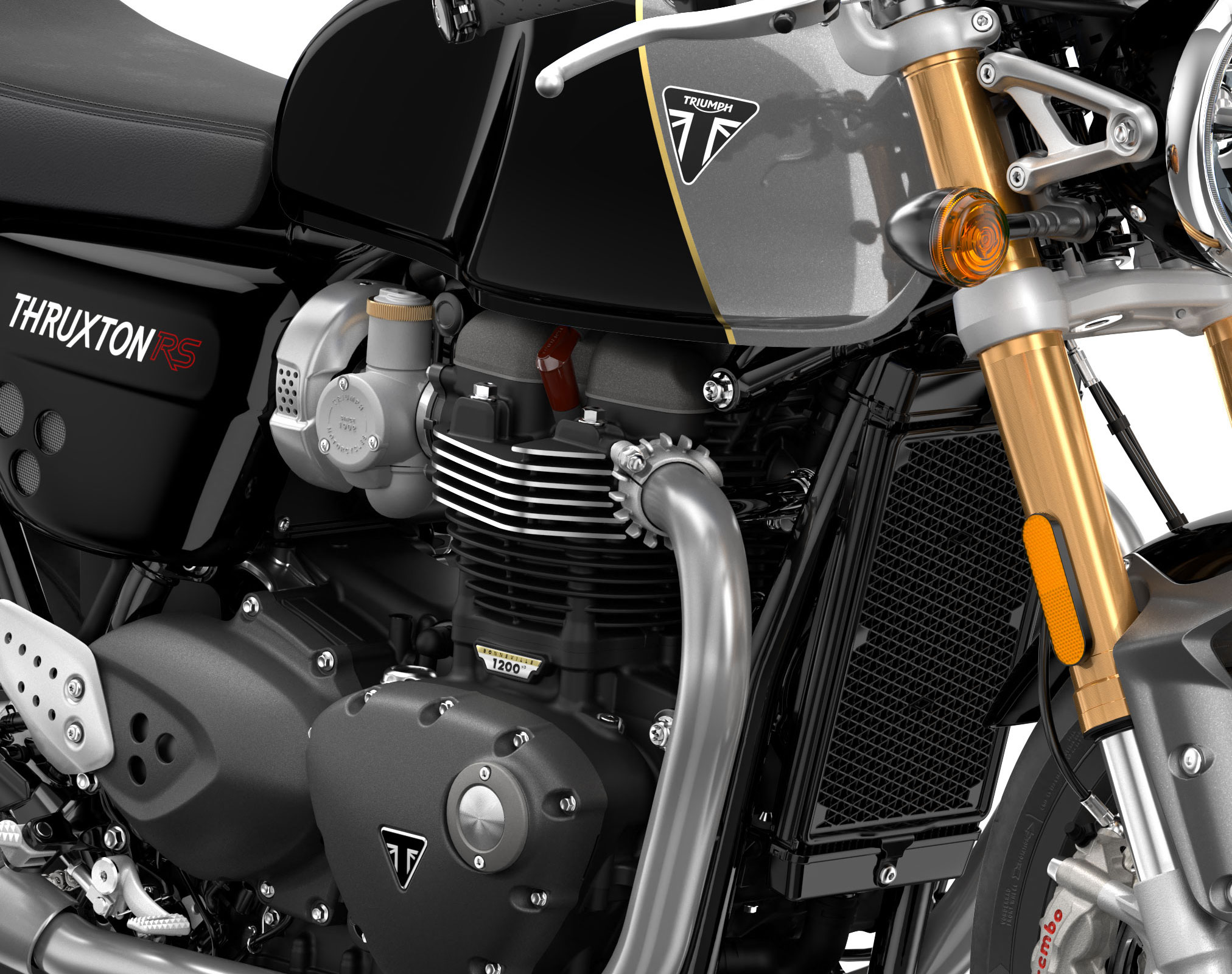 2024 Triumph Thruxton RS Guide • Total Motorcycle