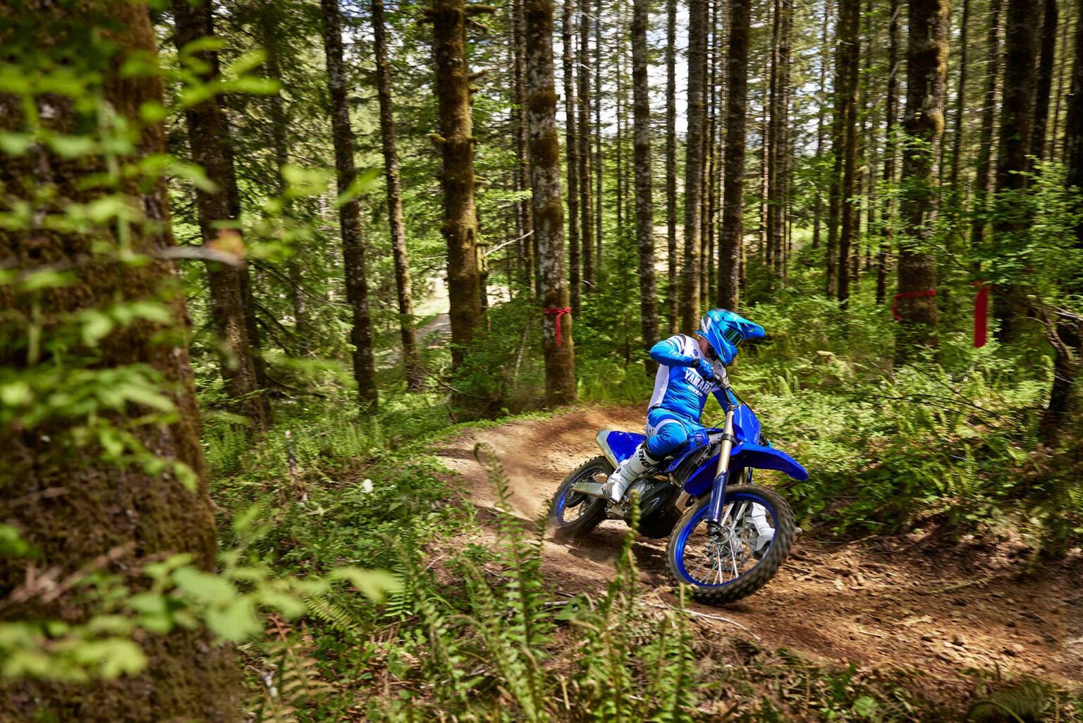 2024 Yamaha YZ450FX • Total Motorcycle