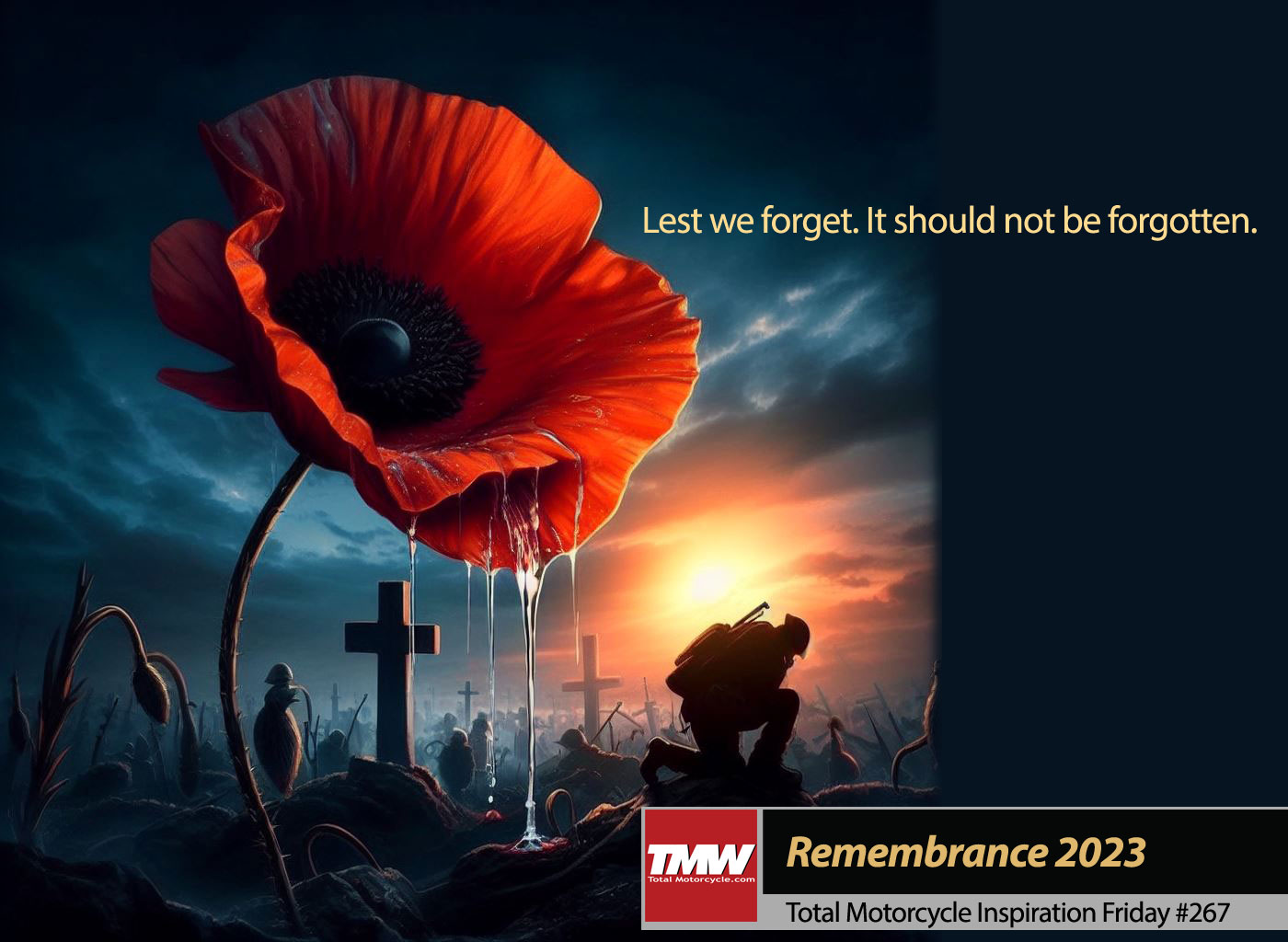 Lest We Forget - Remembrance Day 2023
