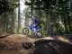 2025 Yamaha YZ250F